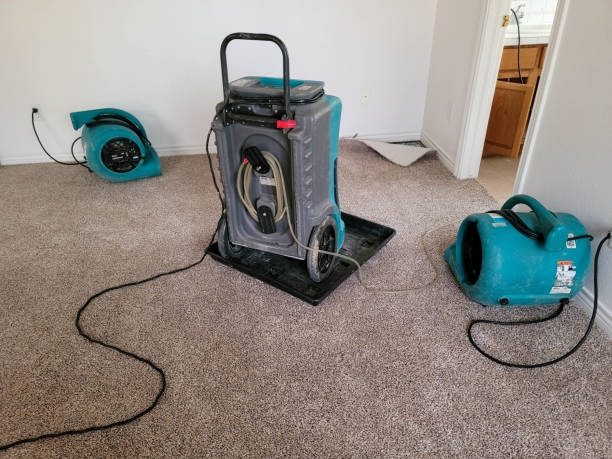 Best Residential water damage restoration  in Montverde, FL