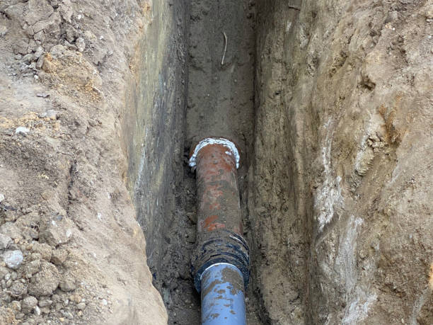 Best Flood damage cleanup  in Montverde, FL