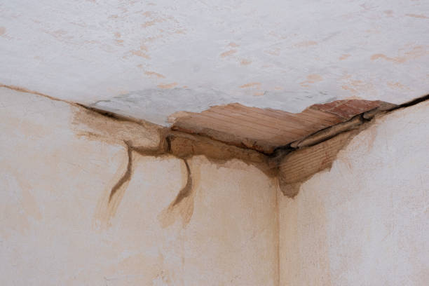 Best Emergency water damage restoration  in Montverde, FL