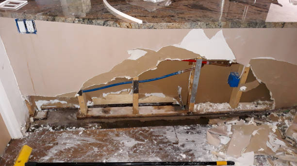 Best 24-hour water damage restoration  in Montverde, FL