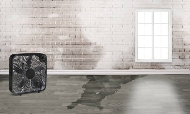 Water damage restoration experts in Montverde, FL
