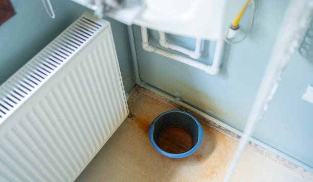 Best Emergency water extraction  in Montverde, FL