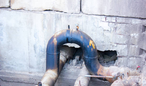 Best Local water damage restoration  in Montverde, FL