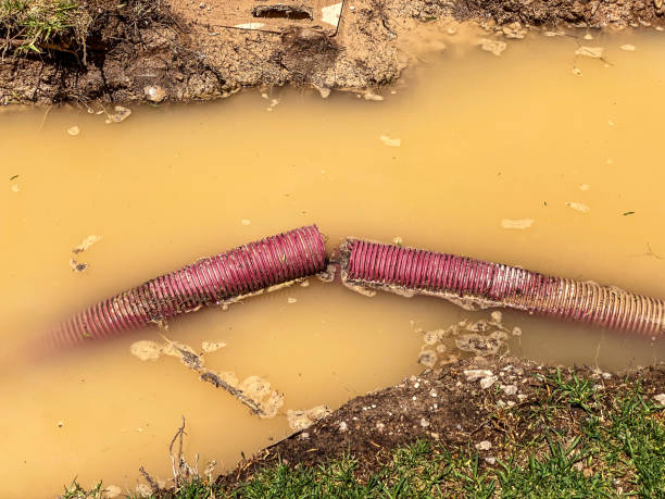 Carpet water damage restoration in Montverde, FL