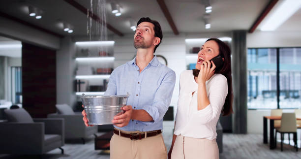 Best Fire Damage Restoration  in Montverde, FL