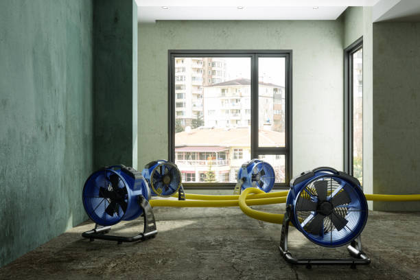 Best 24/7 water damage repair  in Montverde, FL